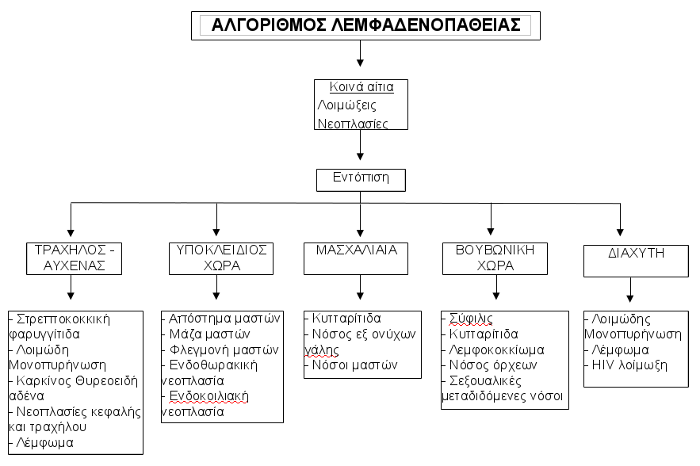 algorithmos_lef