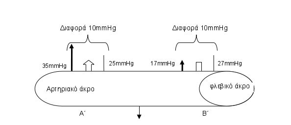 plasma01