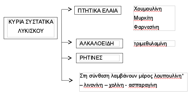 lykiskos-03