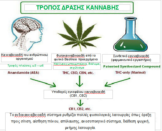cannabis-farmako-001