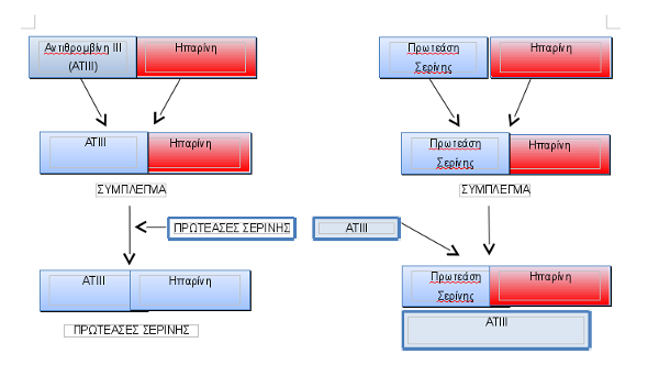 antithromvini02