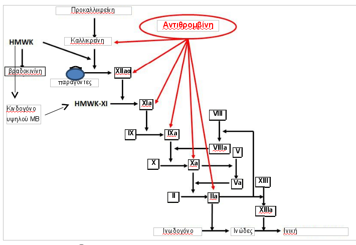 antithromvini03