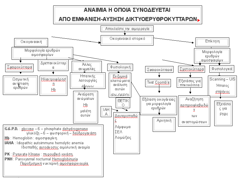 anaimia