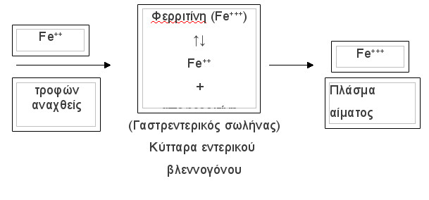 kinitiki_sidirou