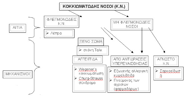 kokkiomatodeis