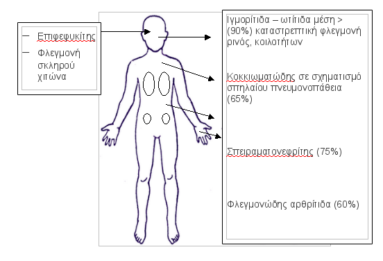 kokkiomatosi_01