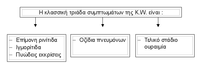 kokkiomatosi_03