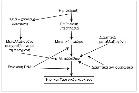 Έλκος δωδεκαδακτύλου